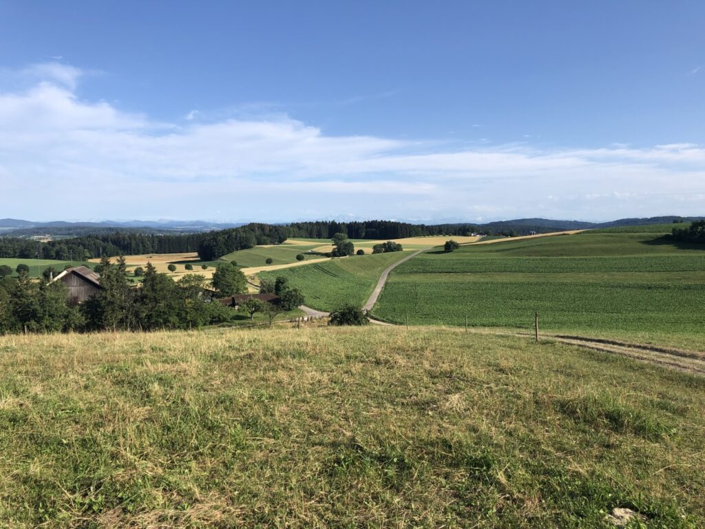 MR_2019_07_RebenTF_Foto_060719_18_31_40