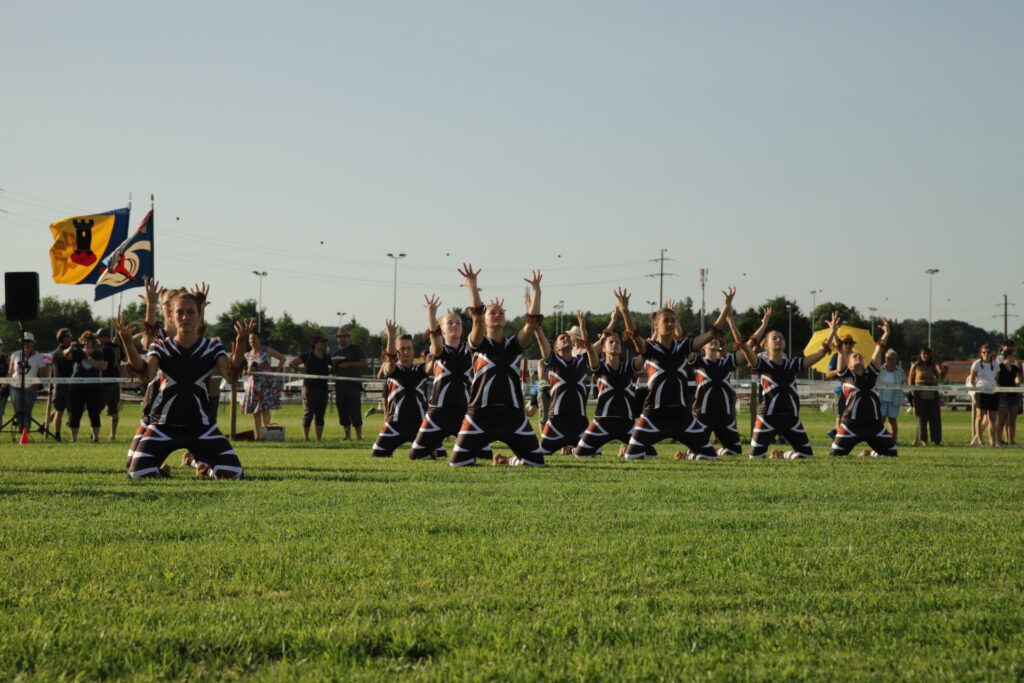 TVDR_2022-06-17-180256_IMG_8611