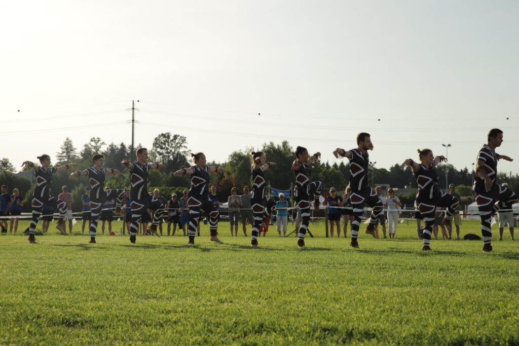 TVDR_2022-06-17-180643_IMG_8713