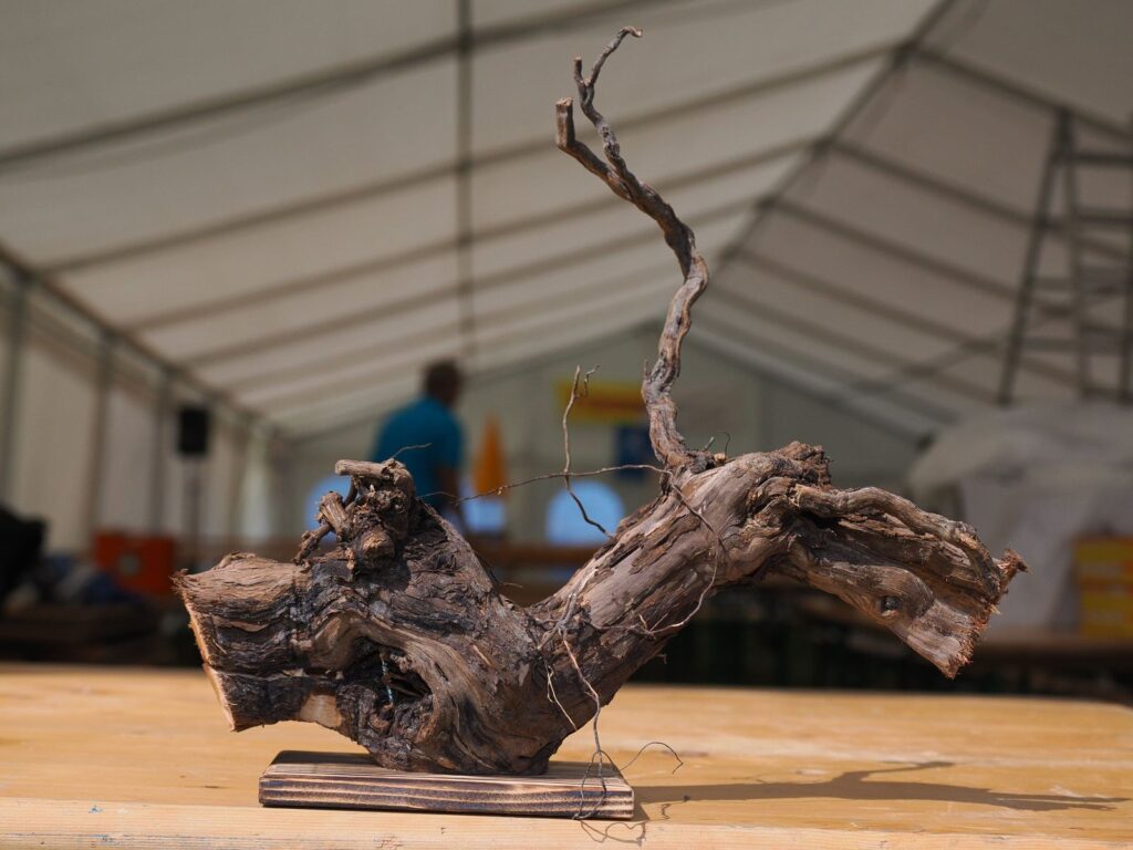 MR_20220703184555-fce712f7